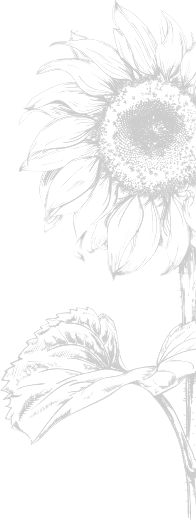 image-bg-02